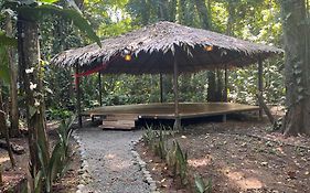 Casa Merlin Yoga & Welness Hotel